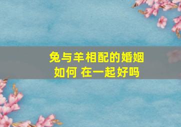 兔与羊相配的婚姻如何 在一起好吗